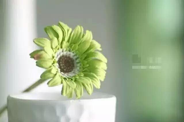 歸 思 歸 思