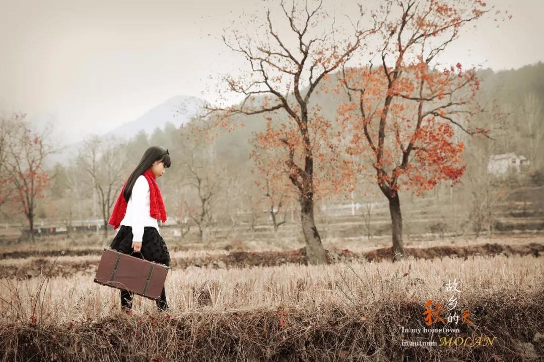 故鄉(xiāng)的秋 故鄉(xiāng)的秋