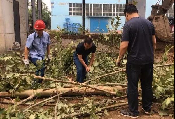 龍鋼集團十月踏歌行 奮戰(zhàn)四季度 龍鋼集團十月踏歌行 奮戰(zhàn)四季度