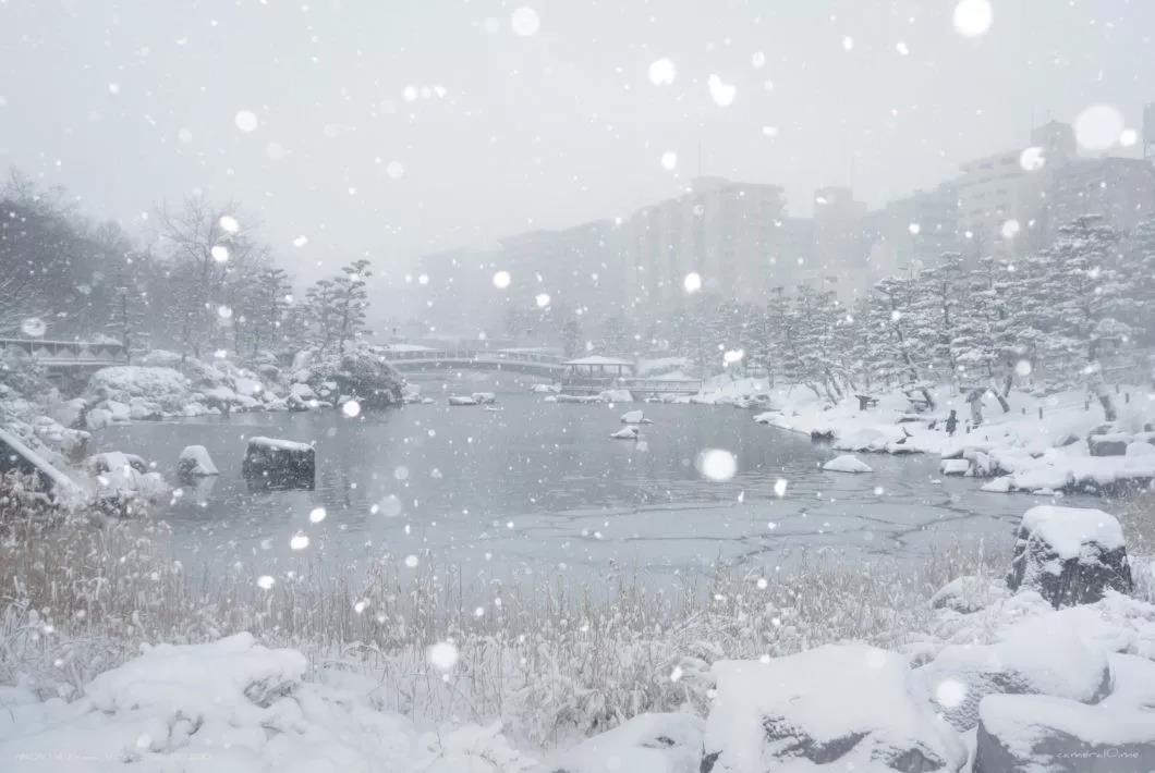 下雪了 下雪了