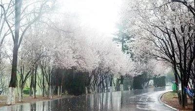 雨中美景 雨中美景