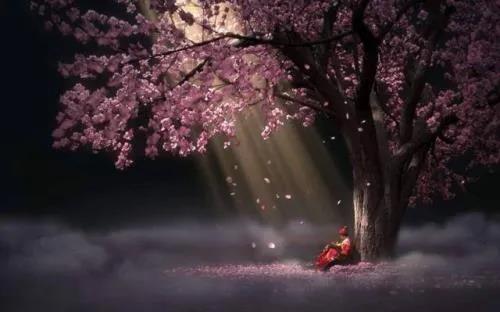 雨中美景 雨中美景