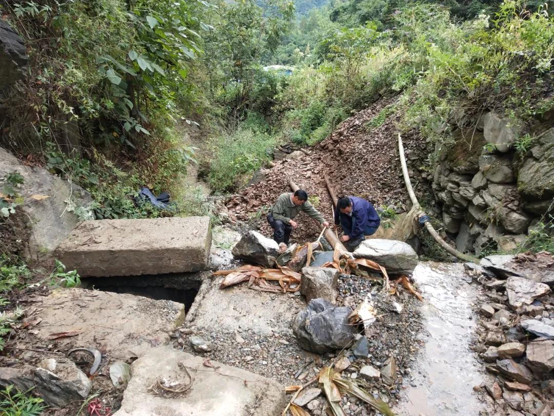 做本職、助和諧、促提升