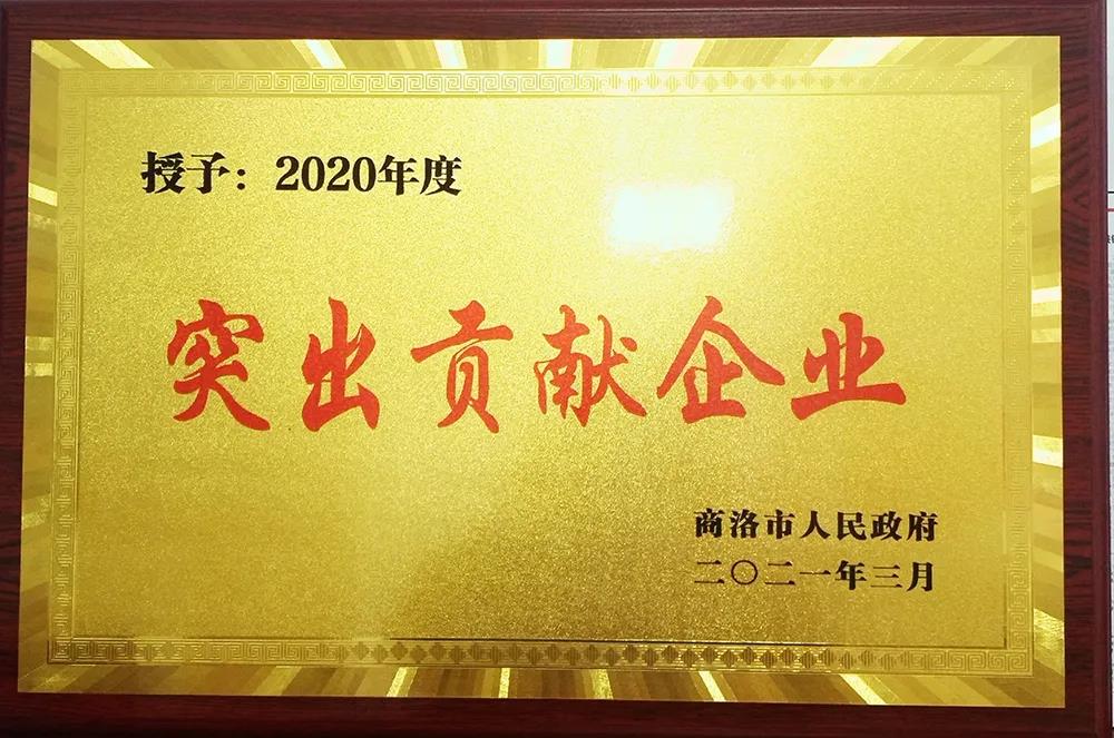 大西溝礦業(yè)公司獲商洛市“2020年度突出貢獻(xiàn)企業(yè)獎(jiǎng)”殊榮 大西溝礦業(yè)公司獲商洛市“2020年度突出貢獻(xiàn)企業(yè)獎(jiǎng)”殊榮